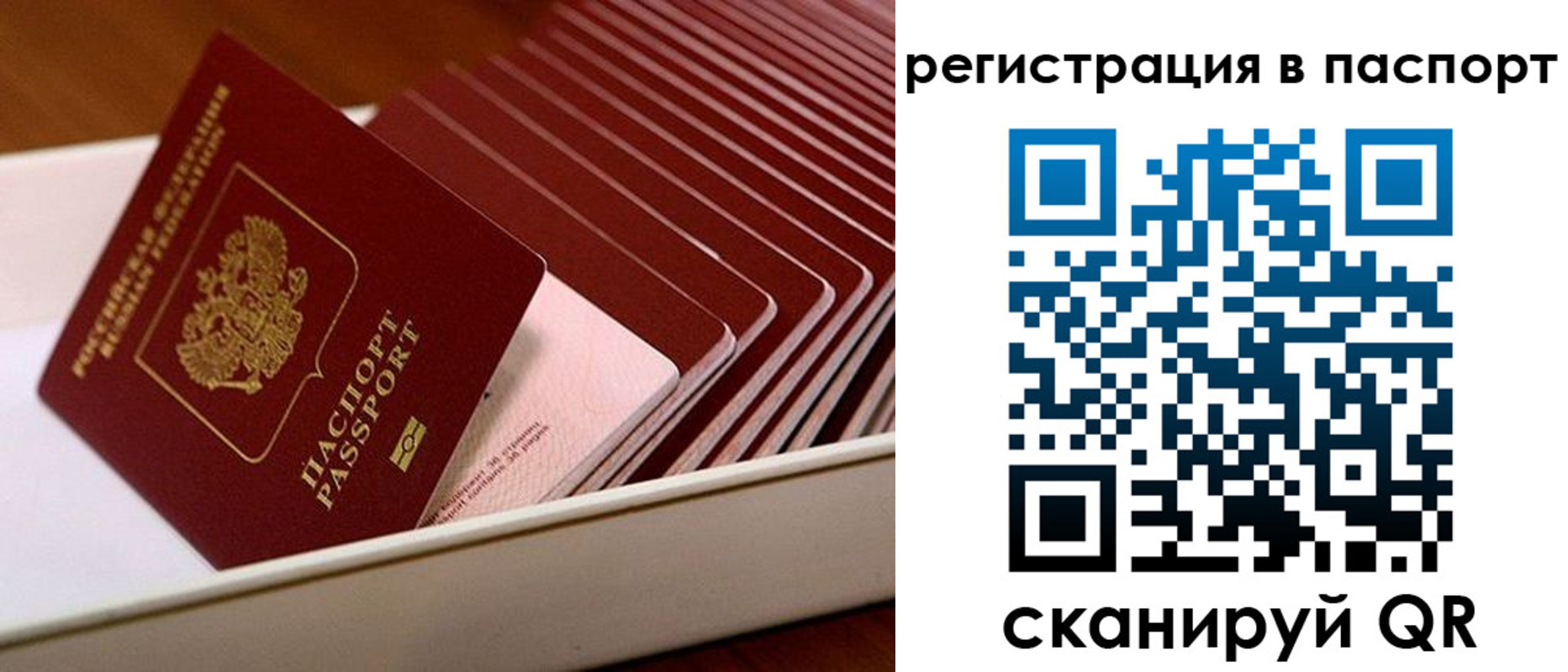 форма 3 в Белгородской области
