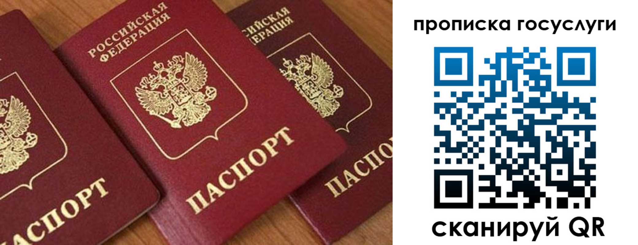 временная прописка в Белгородской области